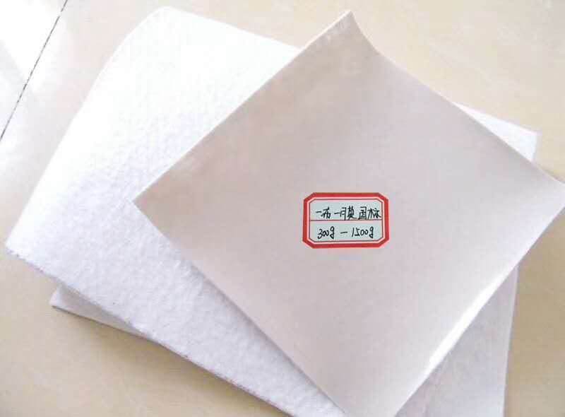 復(fù)合土工膜多少錢一平方