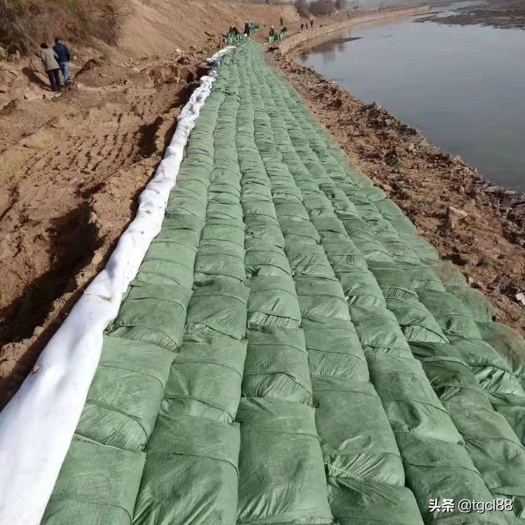 生態帶的功能和用途